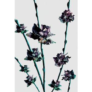 Notes Narcissus A5/64/100g linia Kwiaty